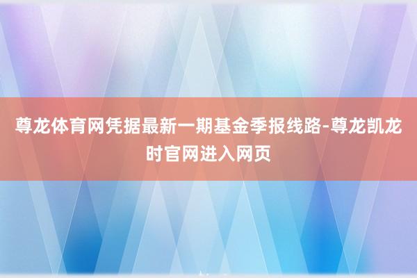 尊龙体育网凭据最新一期基金季报线路-尊龙凯龙时官网进入网页
