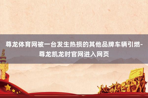 尊龙体育网被一台发生热损的其他品牌车辆引燃-尊龙凯龙时官网进入网页