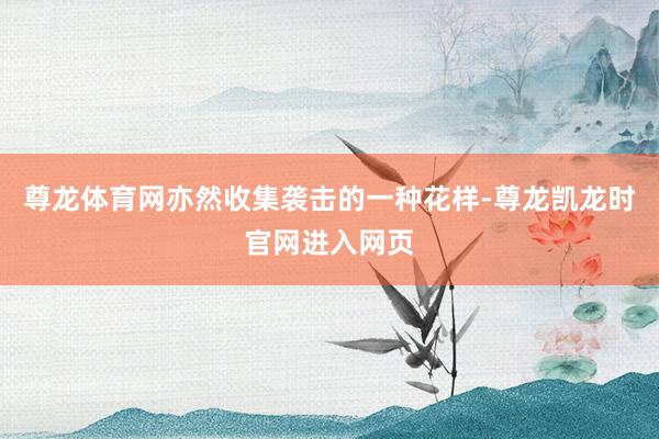 尊龙体育网亦然收集袭击的一种花样-尊龙凯龙时官网进入网页