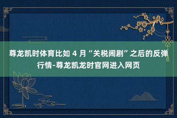 尊龙凯时体育比如 4 月“关税闹剧”之后的反弹行情-尊龙凯龙时官网进入网页
